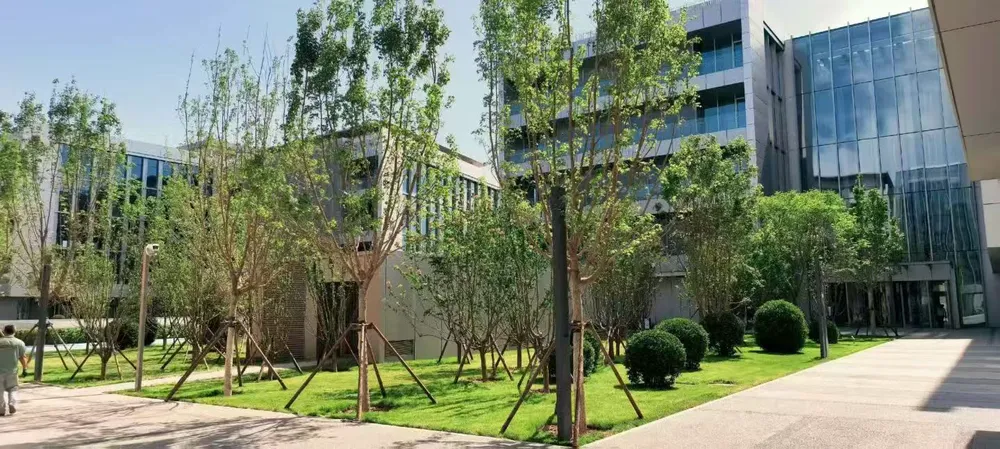 鼎好DH3实景